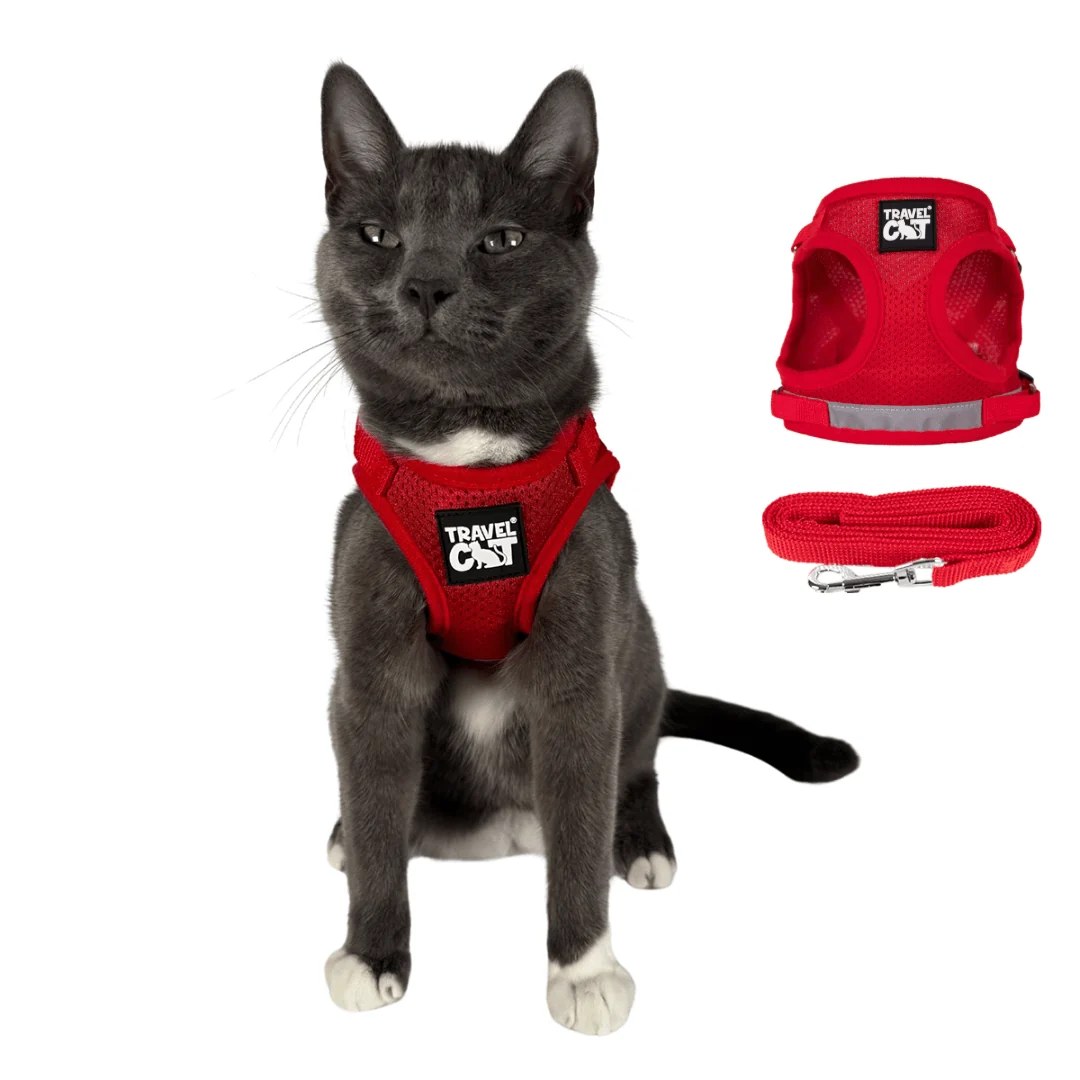 The True Adventurer Reflective Cat & Kitten Harness and Leash