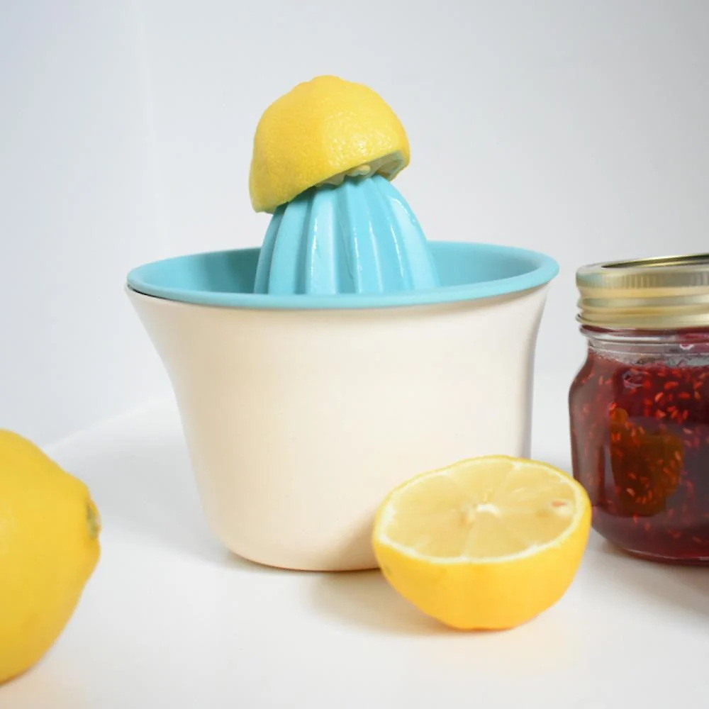 Citrus Juicer