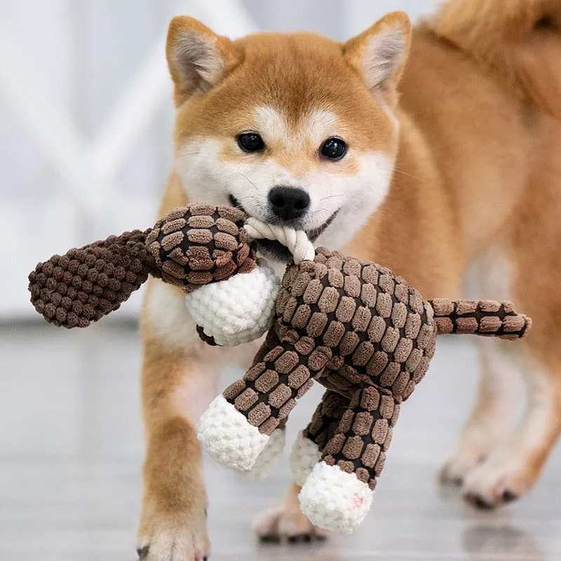 Robust Plush – Immortal Squeaker Plush Toy For Aggressive Chewers