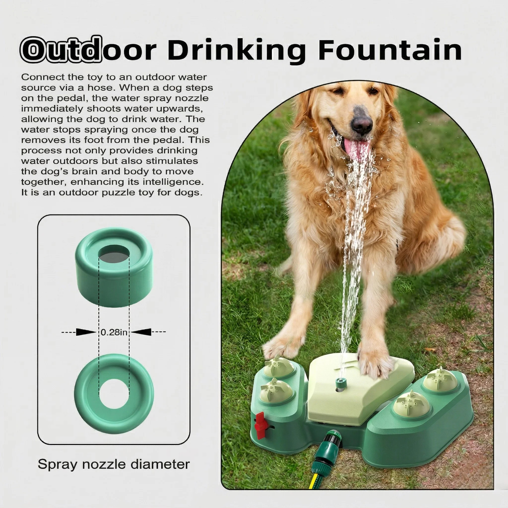 AquaPaw Outdoor Play & Hydration Station