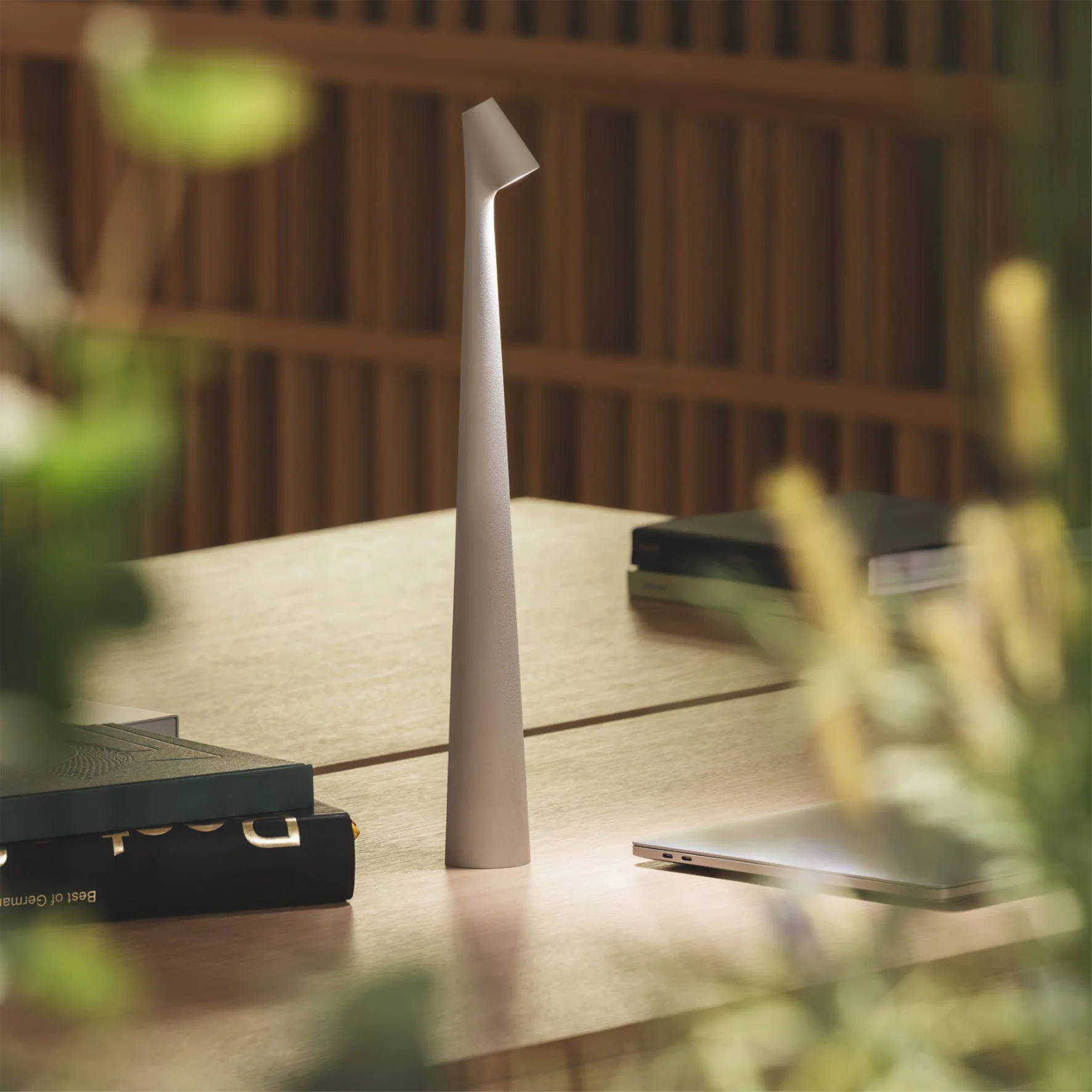 Africa Slim Cordless LED Rechargeable Table Lamp – Built-in Battery Portable Desk Light 1-Light