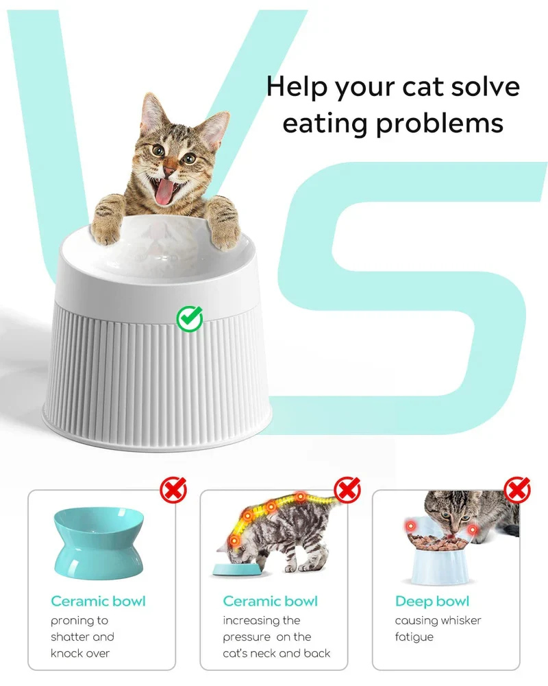 Best Bundle for cat (water fountain + Elevated Cat Bowls)