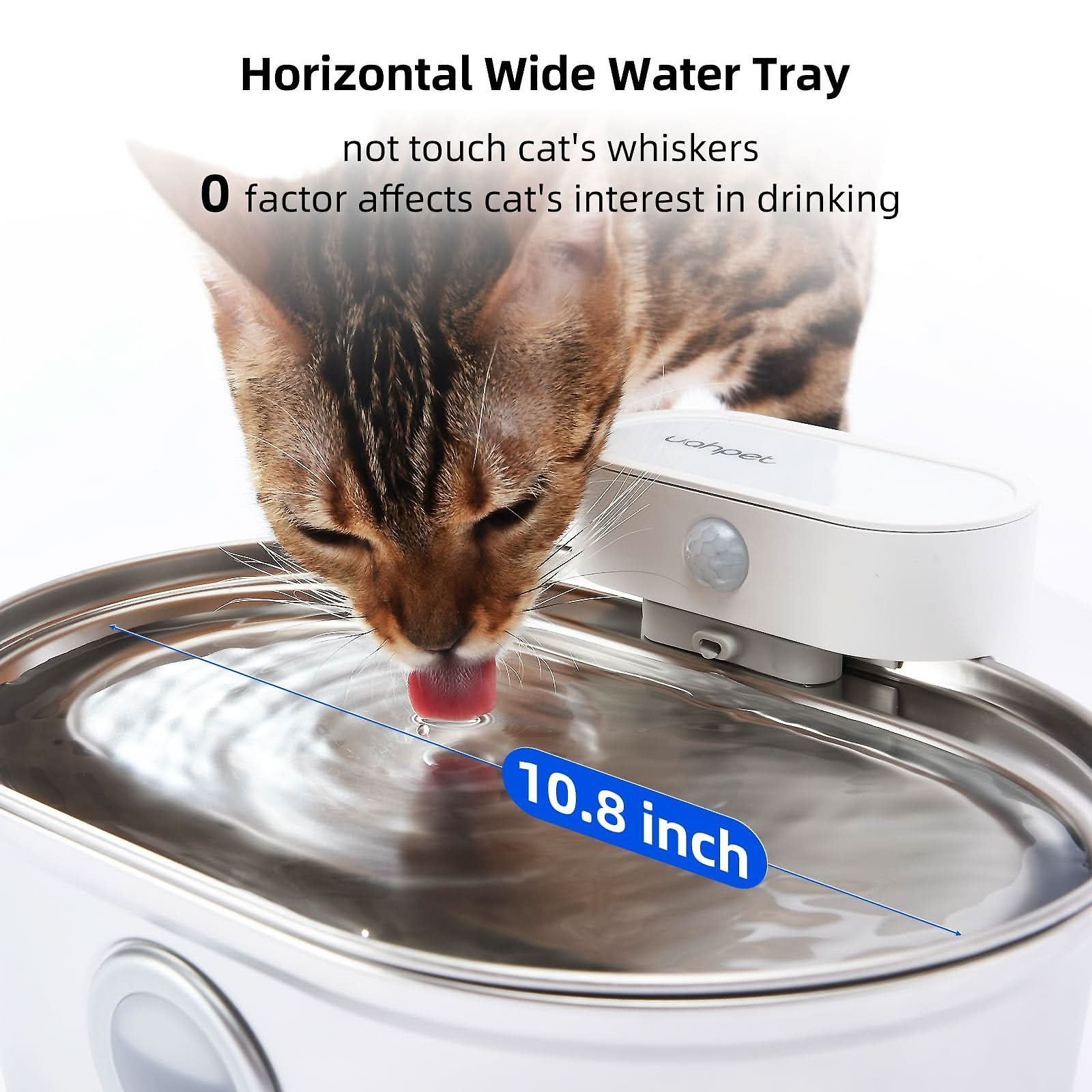 Best Bundle for cat (water fountain + Elevated Cat Bowls)