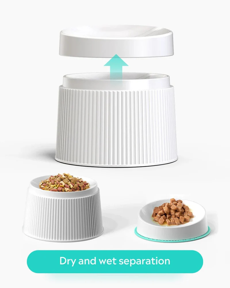 Best Bundle for cat (water fountain + Elevated Cat Bowls)